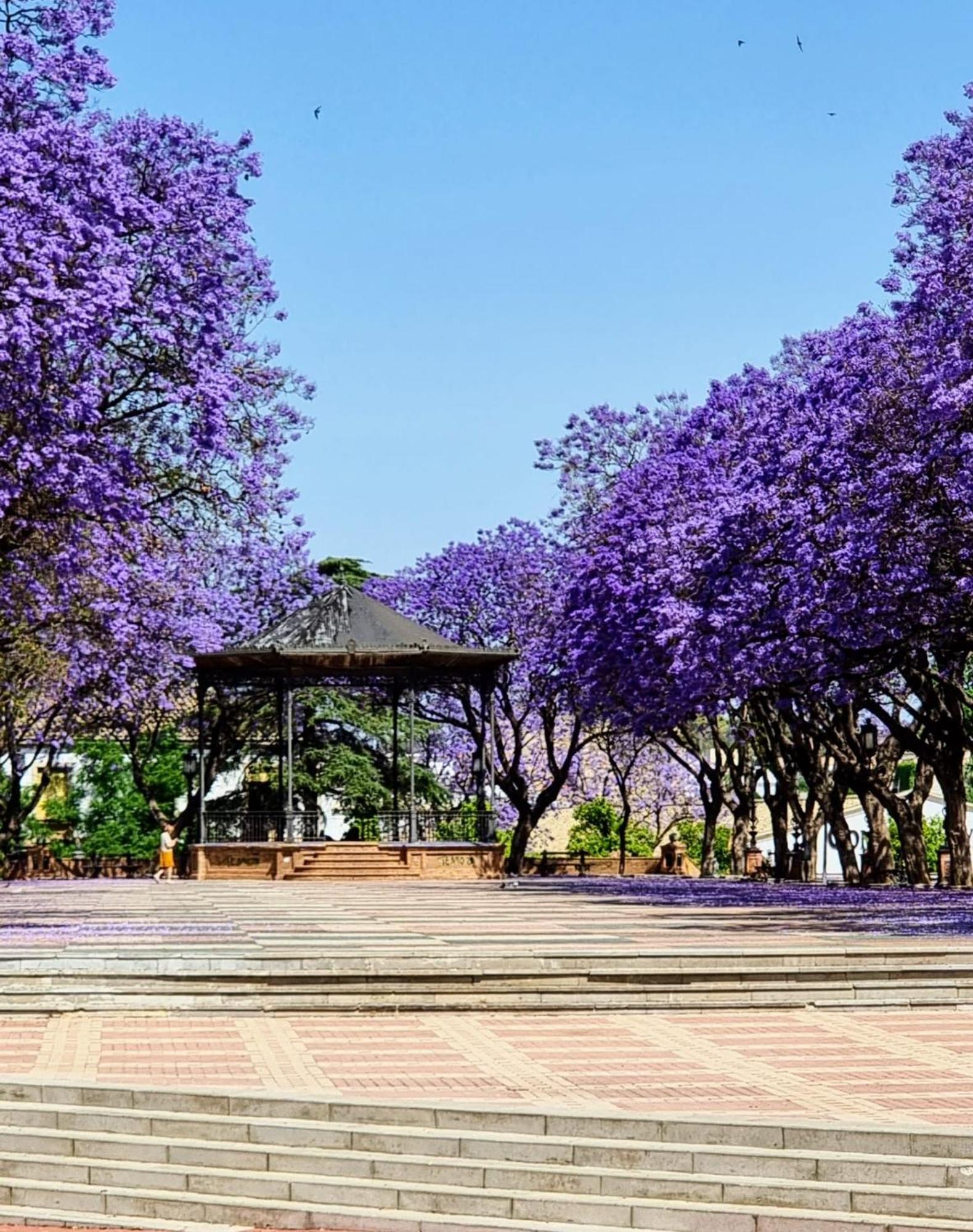 Апартаменты Alazan Jerez Iv-Parking Gratis-Wifi-Netflix Херес-де-ла-Фронтера Экстерьер фото